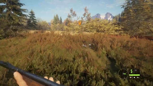 theHunter Call of the Wild / охота на ружье смотреть онлайн