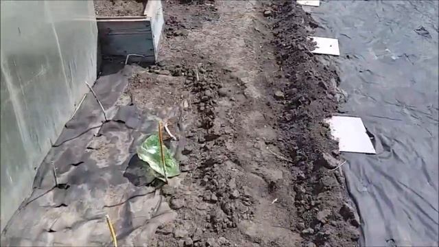 Рассада переехала,первые дела ... смотреть онлайн