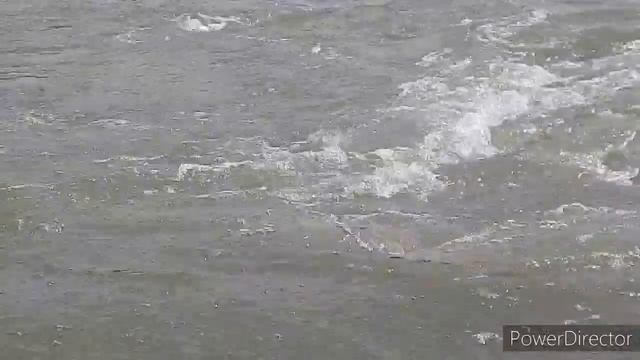 Секрет Творца...Дар☀️РА, Дыхание Любви ЖивоТворит на Катуни смотреть онлайн