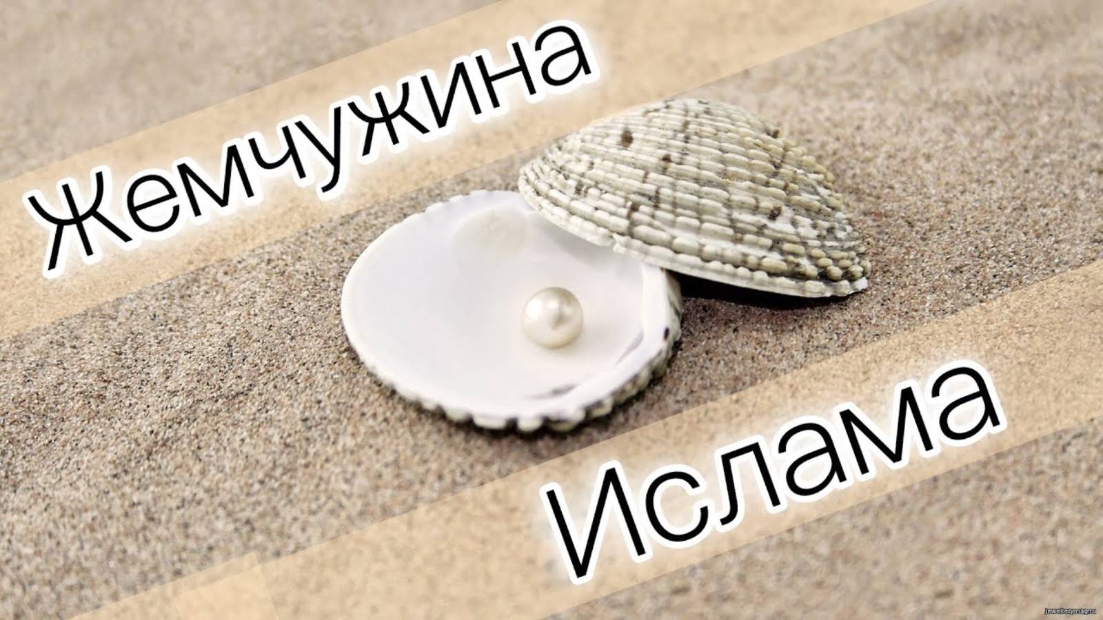 Жемчужина, которую потерял Абу Ляхаб