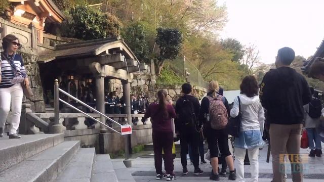 Sakura holiday in Japan 2017 - Osaka, Hiroshima, Kyoto, Tokyo, Mt. Fuji смотреть онлайн