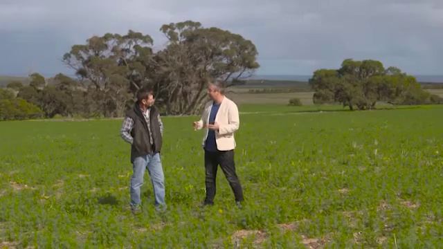 Our State On A Plate - Lupins смотреть онлайн