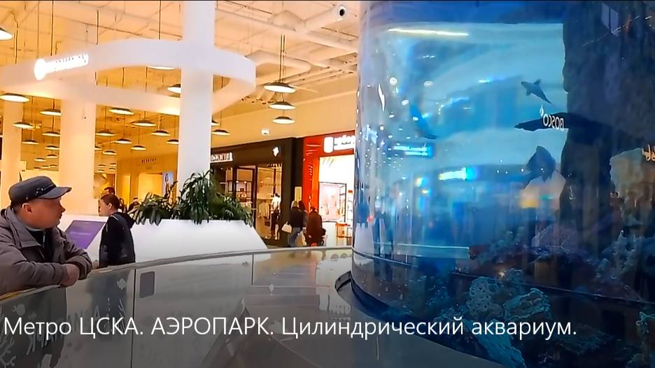 Метро ЦСКА. АЭРОПАРК. Цилиндрический аквариум с РЫБАМИ и МОРСКИМИ ЧУДИЩАМИ. смотреть онлайн