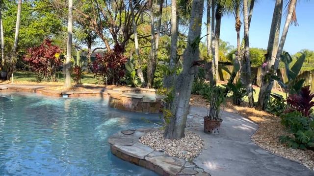 Orchid Garden Update, lots of improvements but new concerns, Orchids and too much SUN, Feb. 26, 202 смотреть онлайн