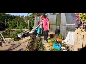 5июня 2022год. Моя любимая дача.