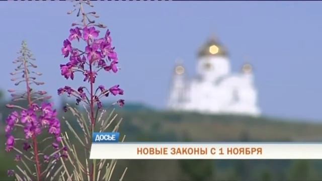 Новые законы: что изменится в жизни пермяков с 1 ноября смотреть онлайн
