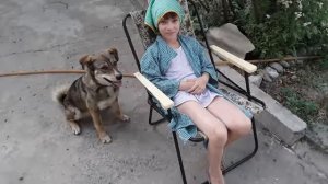 #собака барабака Гера