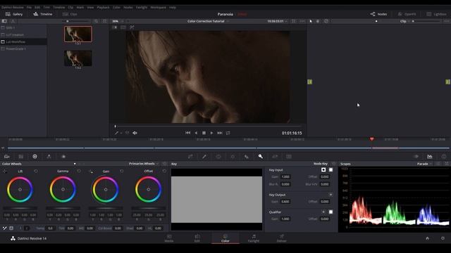 The LUT Workflow Explained (Part 2) | DaVinci Resolve