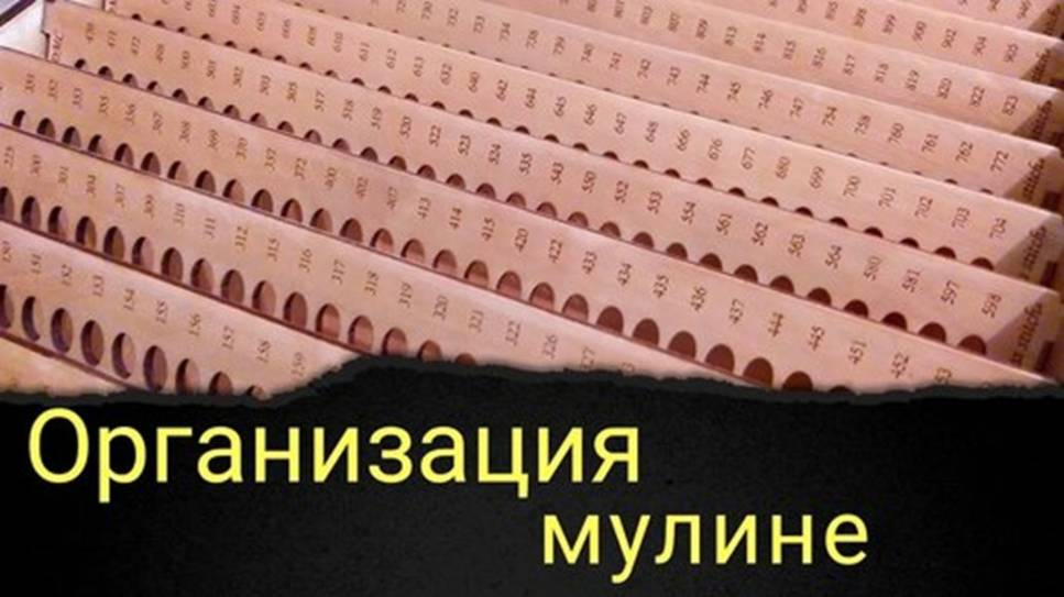 Система организации мулине смотреть онлайн