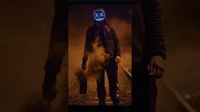 Бомбические капибары смотреть онлайн