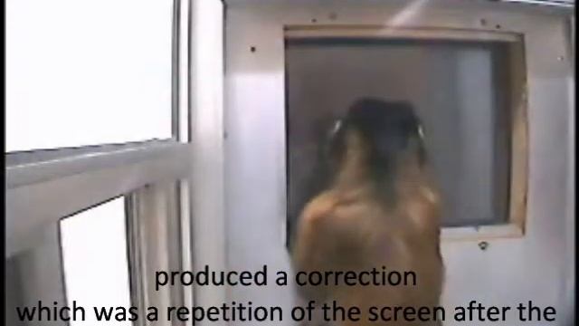 Alcance (span) de Reconhecimento Espacial em Sapajus spp смотреть онлайн