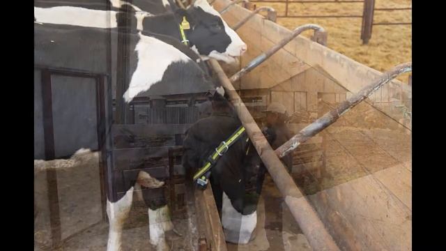 Ангары ТОО ТД АгроЛайн смотреть онлайн