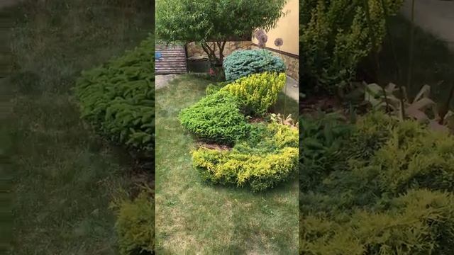 Топирная стрижк смотреть онлайн