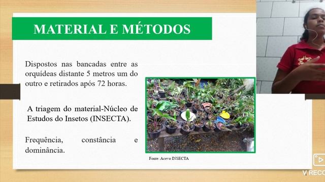 INSETOS ASSOCIADOS AO CULTIVO DE ORQUÍDEA UTILIZANDO ARMADILHA TIPO MOERICKE смотреть онлайн