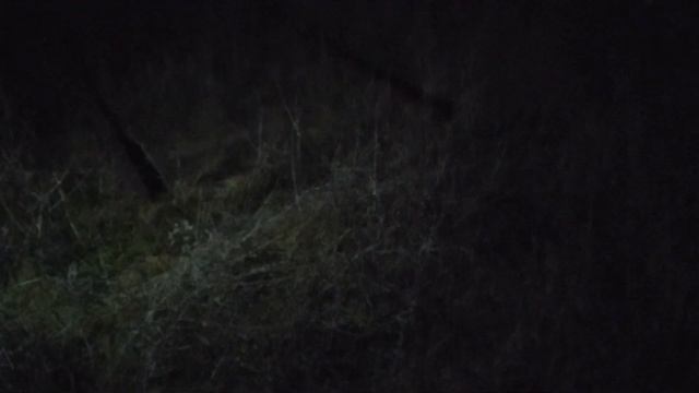 Рельсов нет, а светофор есть! Вот это по нашему! смотреть онлайн