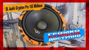 Замена штатных динамиков в Honda CR-V на DL Audio Gryphon Pro 165 Midbass
