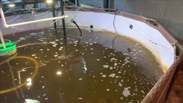 Пруд в гараже.Купили песчаный фильтр смотреть онлайн