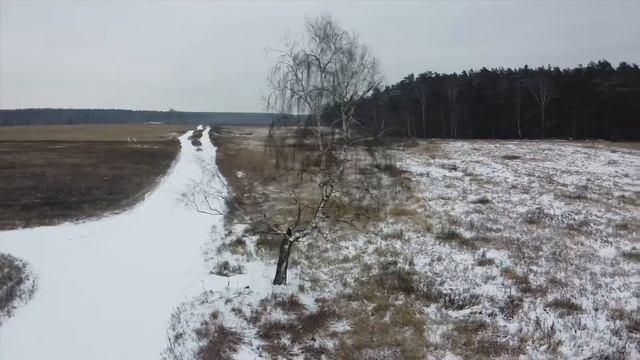 Dji mavic mini. Тест. смотреть онлайн