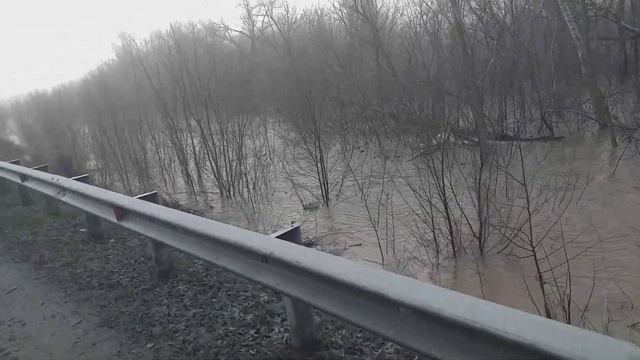 2 апреля 2024 г.