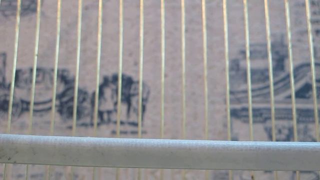 амадинчики смотреть онлайн