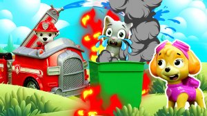 Щенячий патруль спасли котенка из мусорного контейнера!