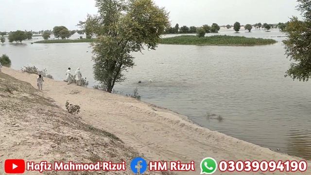 seelab update|basti shali gharbi ke sath waly elaqy mukamal zery aab aa chuky|Hafiz Mahmood Rizvi смотреть онлайн