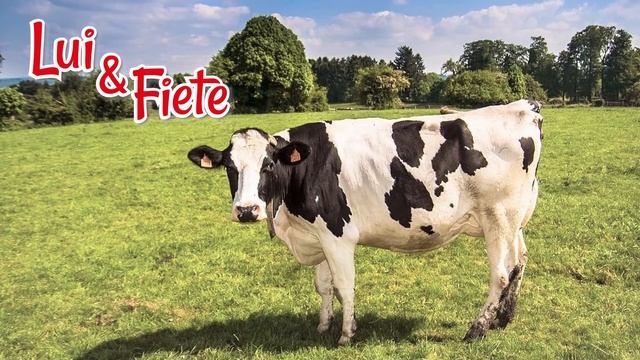 Herrn Pastor sien Koh, Lui & Fiete смотреть онлайн