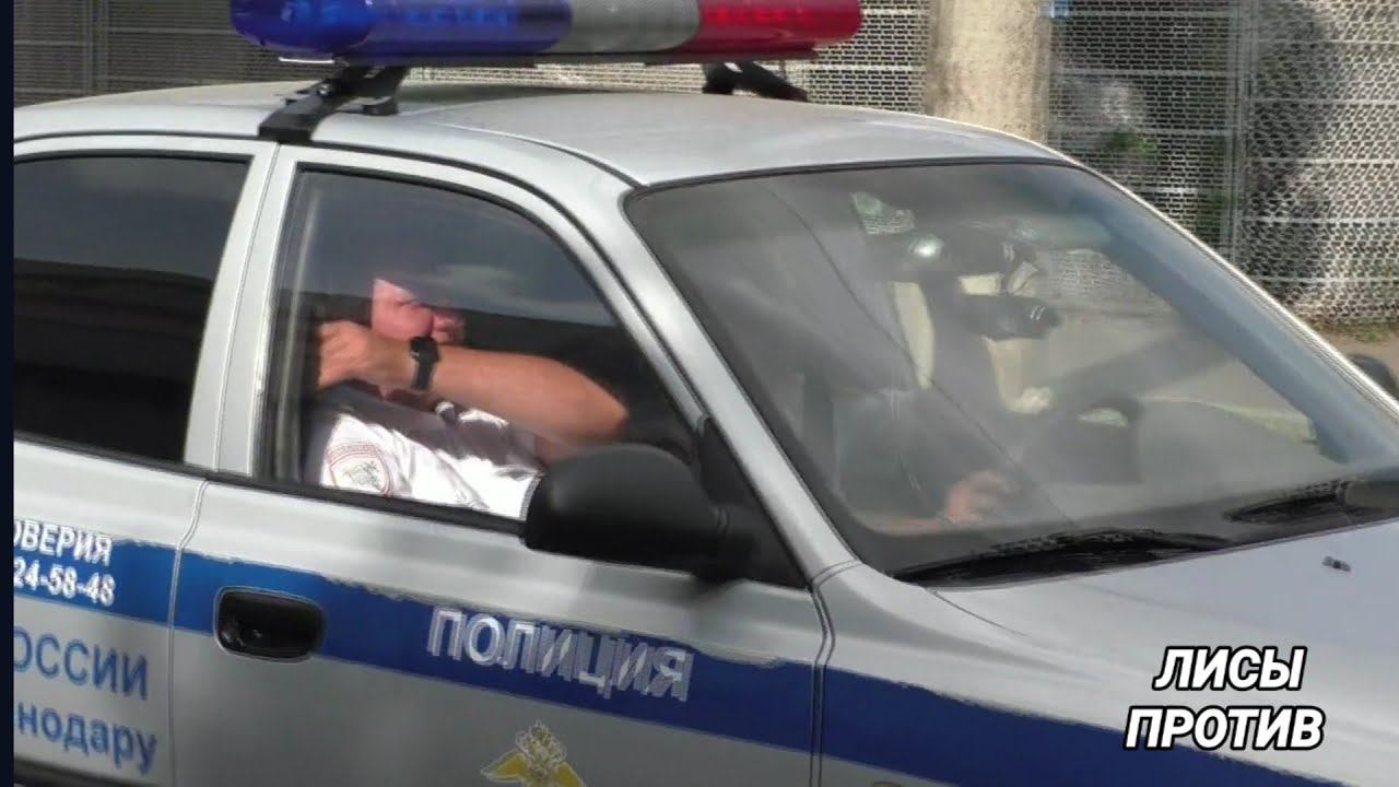 Лиса поймала жирного мышонка! смотреть онлайн