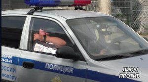 Лиса поймала жирного мышонка!