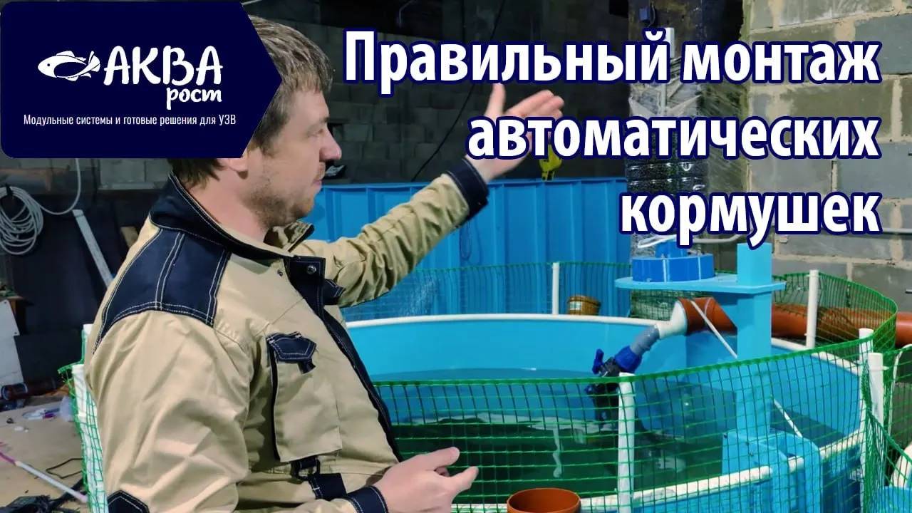 Как правильно установить кормушку в УЗВ #рыба #узв #бизнесвдеревне смотреть онлайн