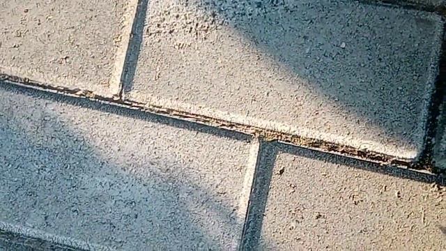 Вейп? не, черешня с пиписькой смотреть онлайн