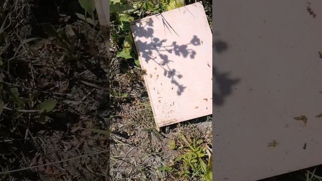 Тёплые заставные для пчел. Заставные в улей из ппс. смотреть онлайн