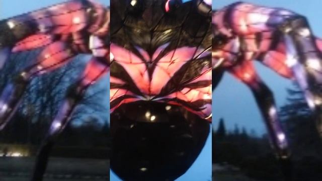 🕸️🌿🕷️Паук ПТИЦЕЕД 🌿🔦ПАРК ФОНАРЕЙ 🔦 смотреть онлайн