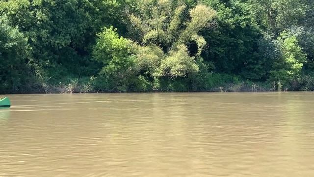 Tisza 2021 смотреть онлайн