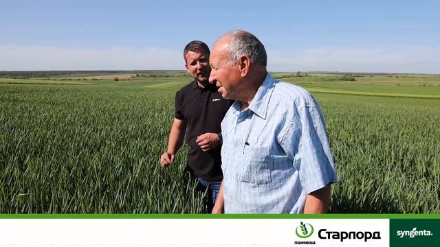 Старлорд - Иновацията за качество в пшеница - Южна България смотреть онлайн