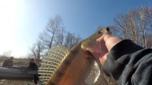 Весенний Судак и багрёный лещ