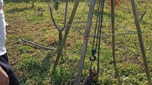 Эксперементы с корчеванием пней ручной талью.