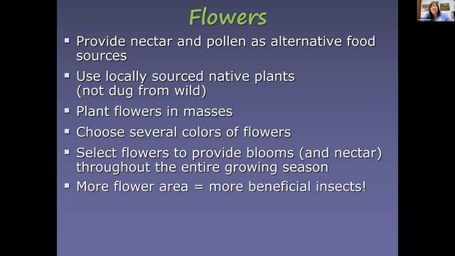 K-State Garden Hour: Gardening with Beneficial Insects смотреть онлайн