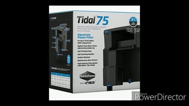 Debunking The Astronotus Oscar Cichid Vent Myth Through Research/Science смотреть онлайн