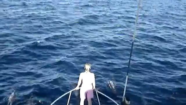CABO 2005 - More Dolphins & Tuna смотреть онлайн