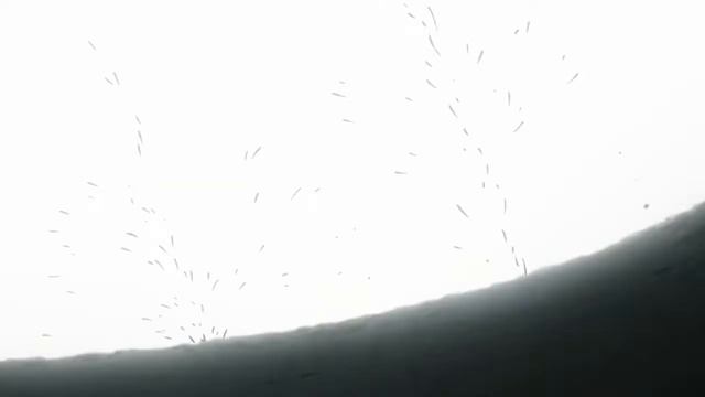 между февралем и июнем смотреть онлайн