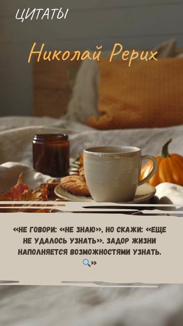 Цитаты 2.264 смотреть онлайн