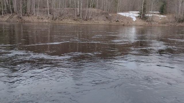 весенняя река
