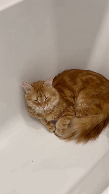 С добрым утром смотреть онлайн