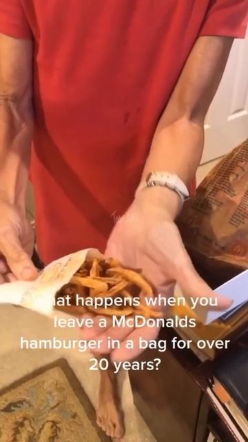 Любителям McDonald’s посвящается. Как выглядит гамбургер и картошка фри хранившееся 20 лет смотреть онлайн