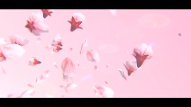 Заказать анимацию логотипа Sakura Blossom смотреть онлайн