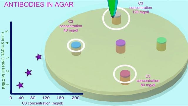 RING IMMUNODIFFUSION ASSAYS смотреть онлайн