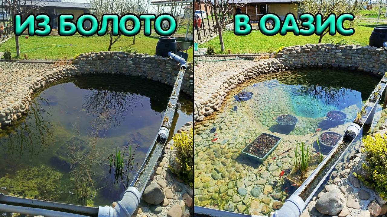 Гигантская уборка пруда с золотыми рыбками смотреть онлайн