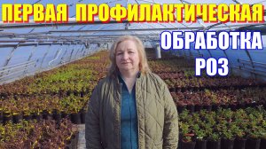 Обработка роз. Обзор опрыскивателя. Про интернет магазин.