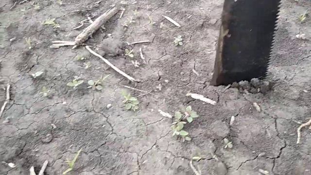 5621 пвврллпп(4) смотреть онлайн